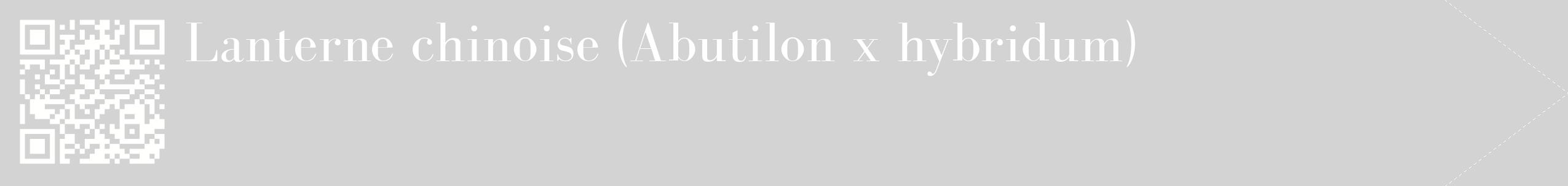 étiquette 2