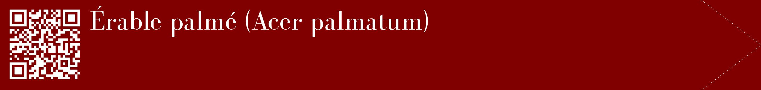 étiquette 2