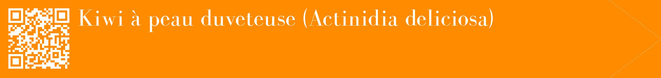 étiquette 2