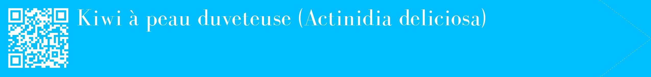 étiquette 2