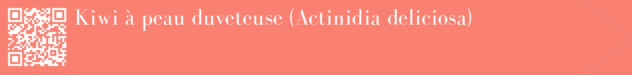 étiquette 2
