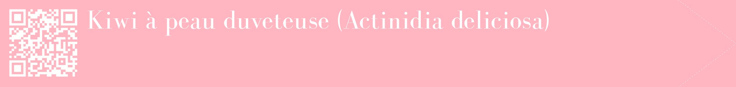 étiquette 2