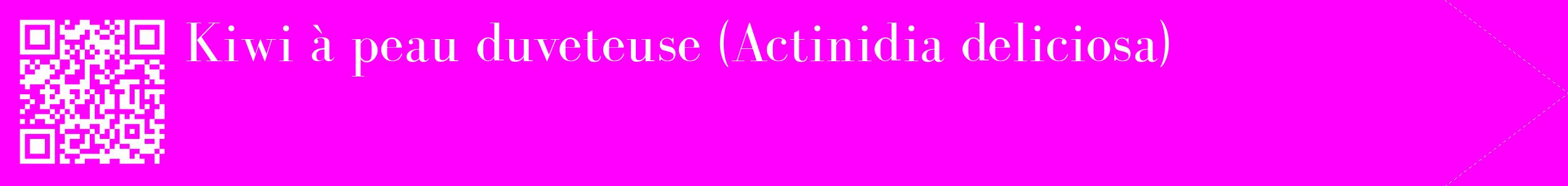 étiquette 2