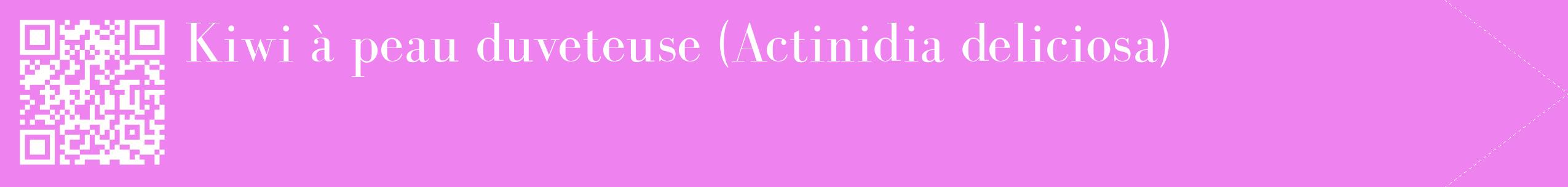 étiquette 2