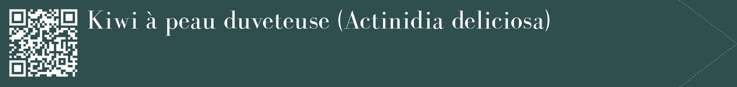 étiquette 2