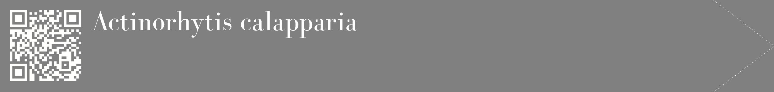 étiquette 2