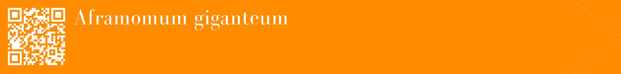 étiquette 2