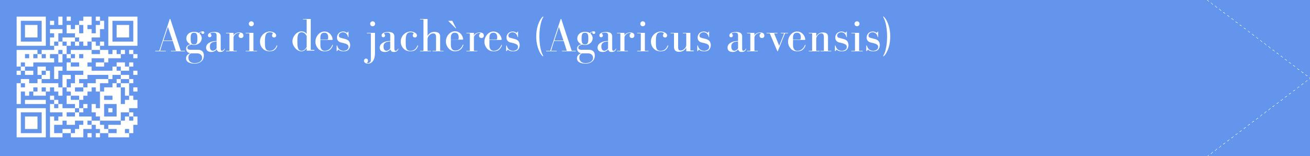étiquette 2