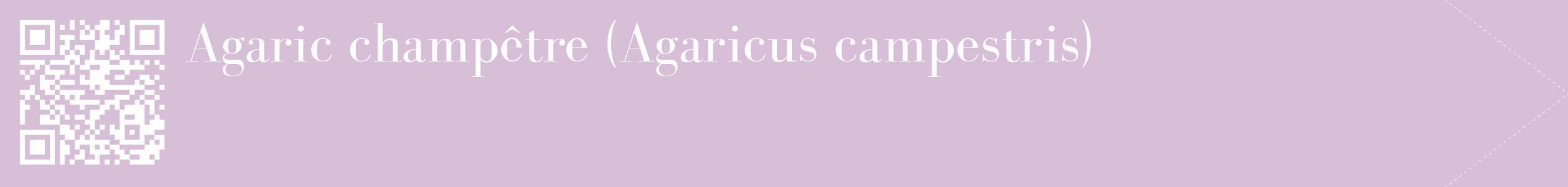 étiquette 2
