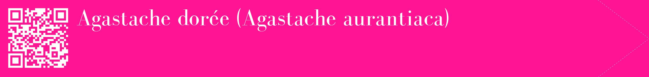 étiquette 2