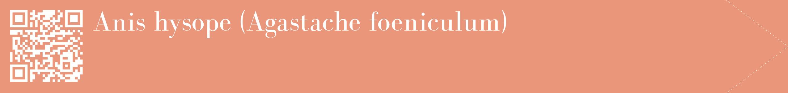 étiquette 2