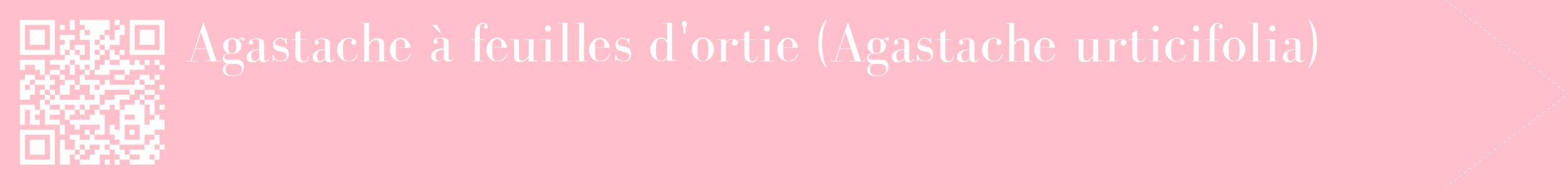étiquette 2