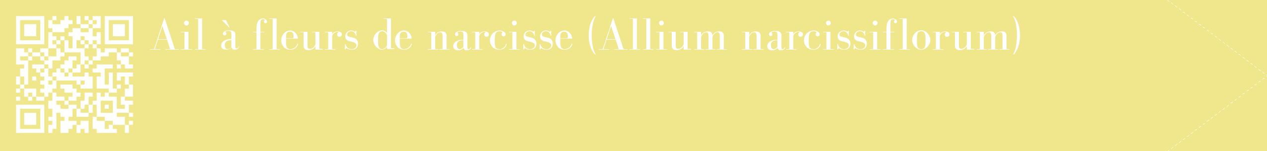 étiquette 2