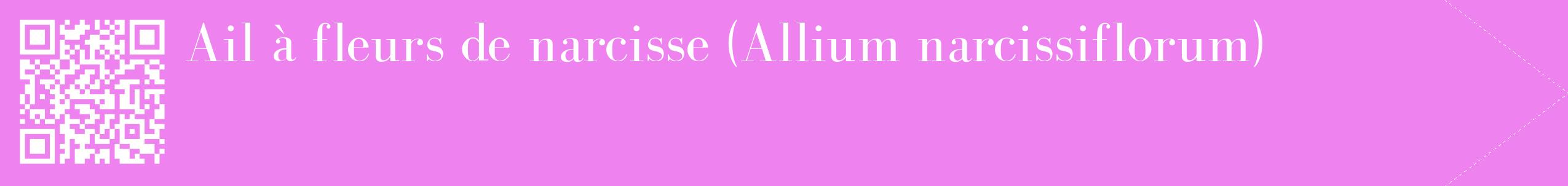 étiquette 2