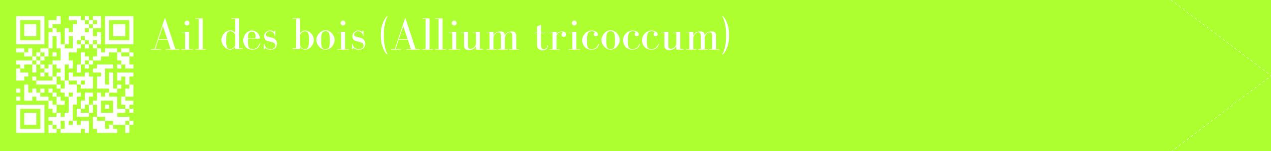 étiquette 2