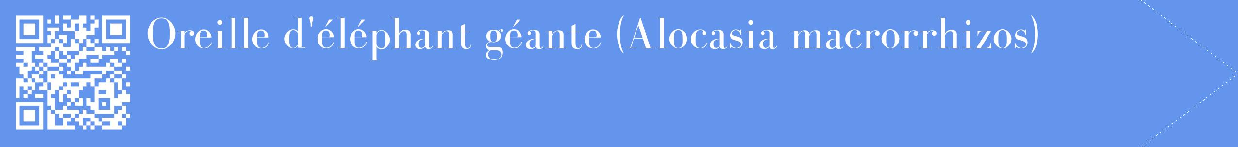 étiquette 2