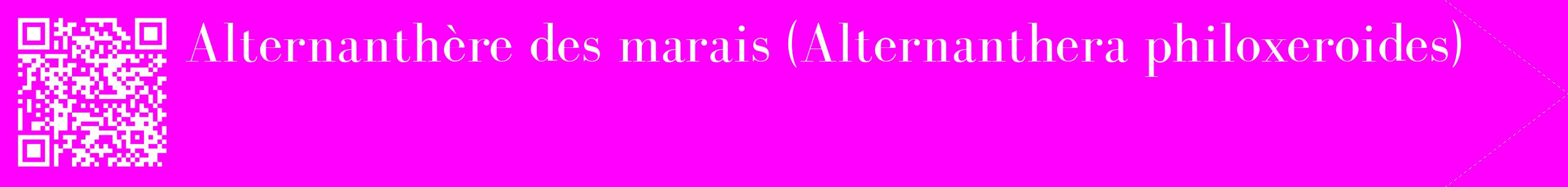 étiquette 2