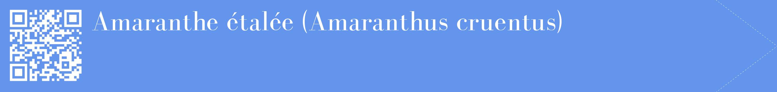 étiquette 2