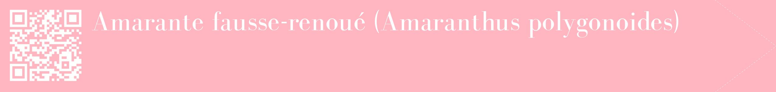 étiquette 2