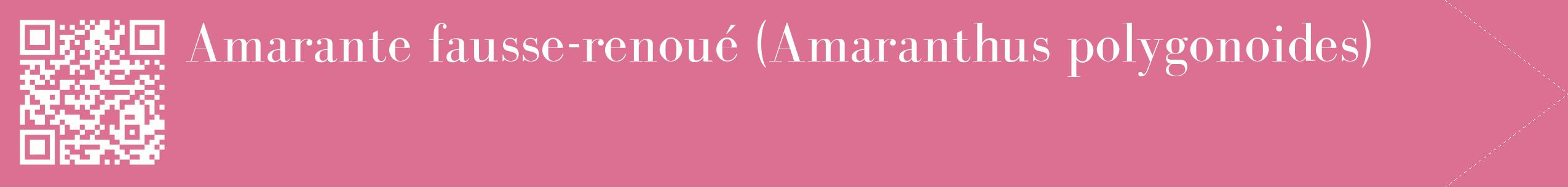 étiquette 2