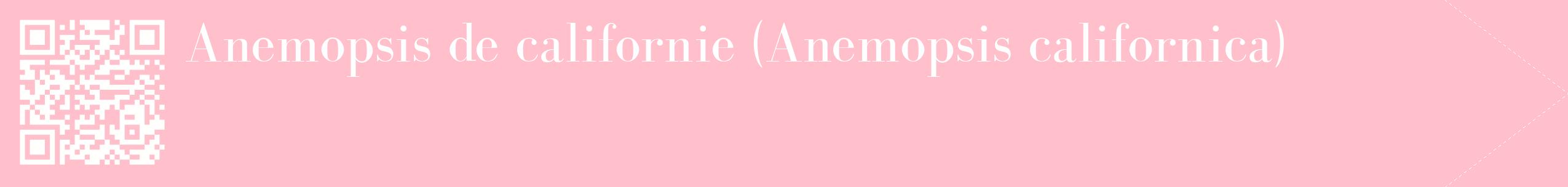étiquette 2