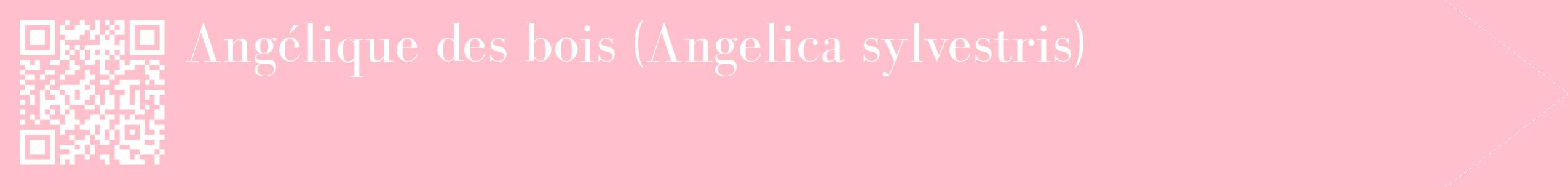 étiquette 2