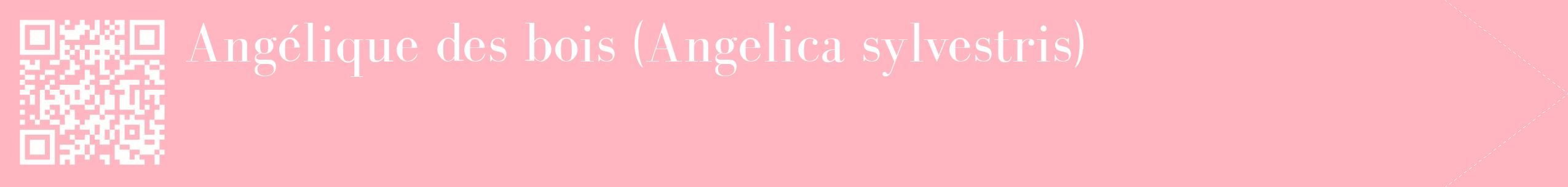 étiquette 2