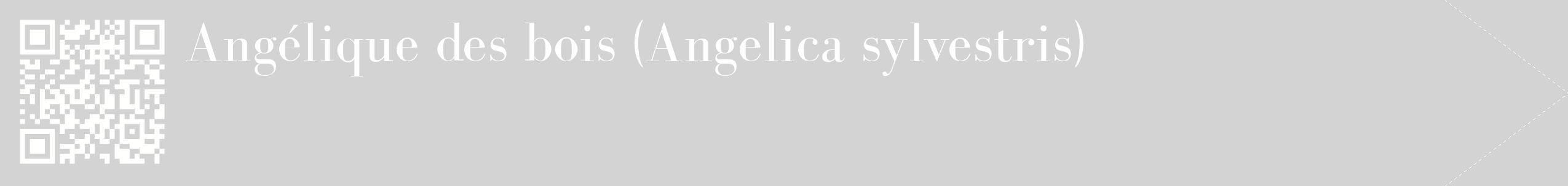 étiquette 2
