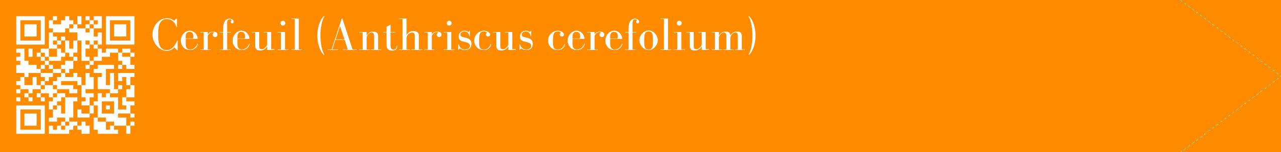 étiquette 2