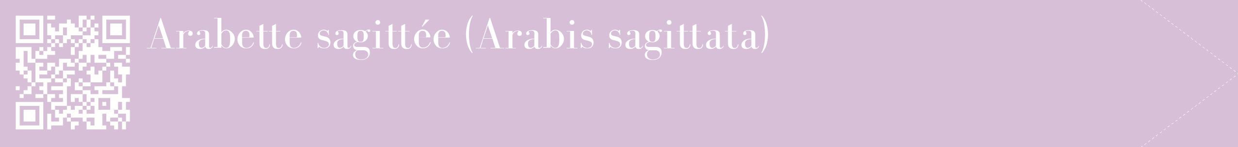 étiquette 2