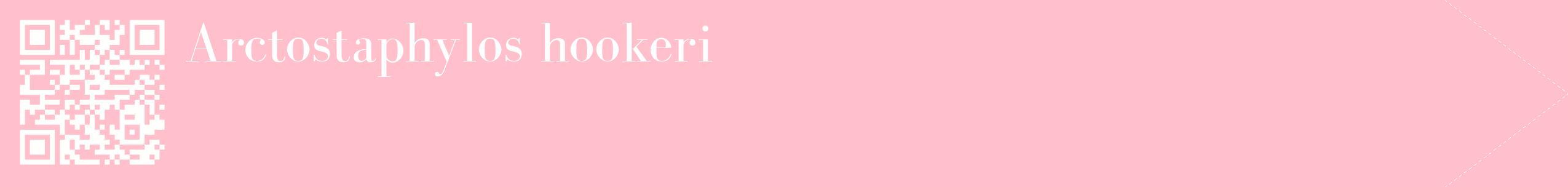 étiquette 2