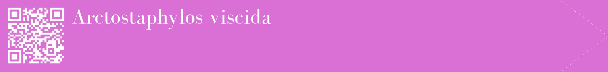 étiquette 2
