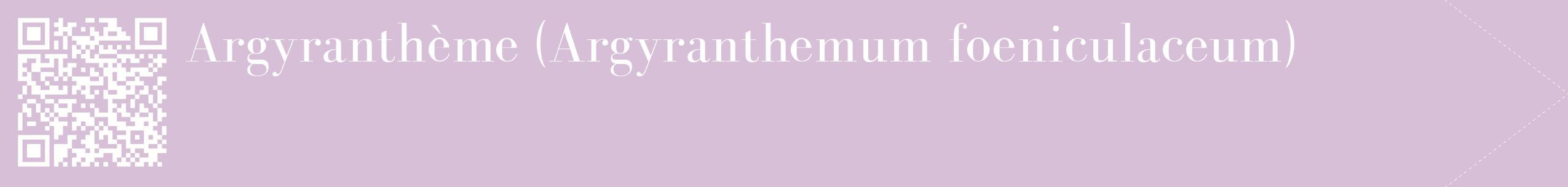 étiquette 2