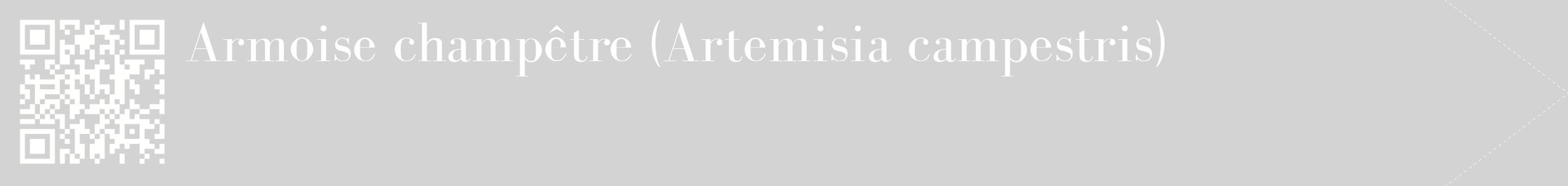 étiquette 2