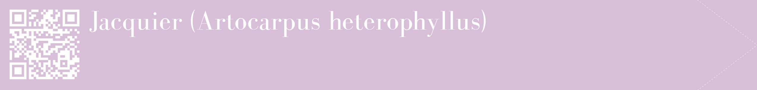 étiquette 2