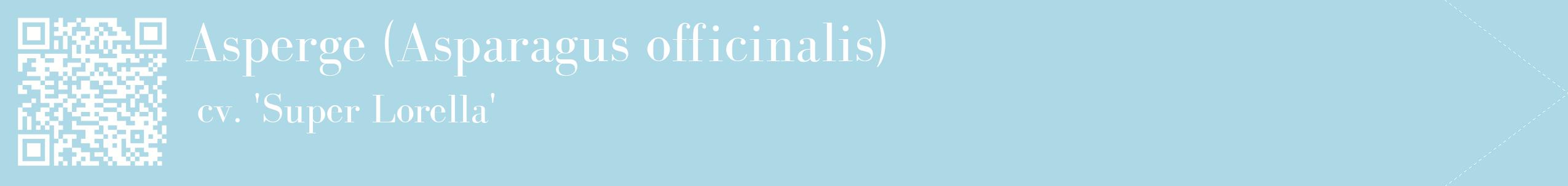 étiquette 2