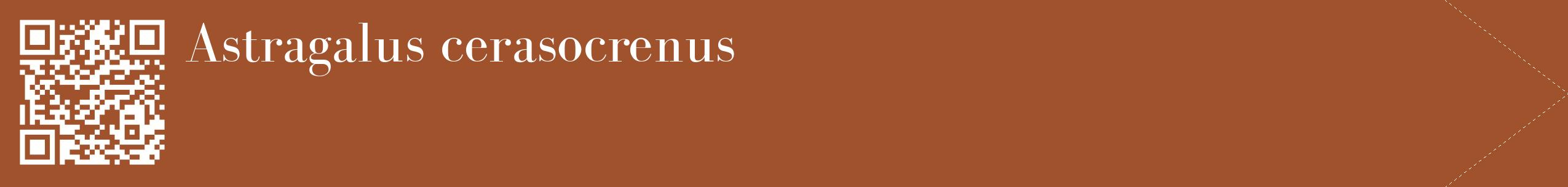 étiquette 2