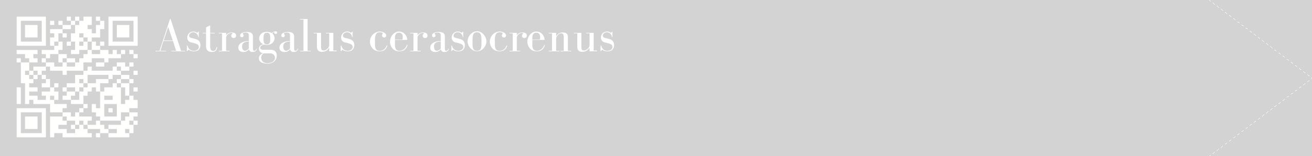 étiquette 2