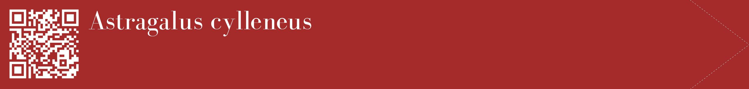 étiquette 2