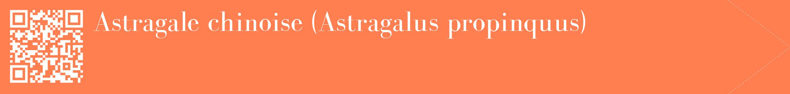 étiquette 2
