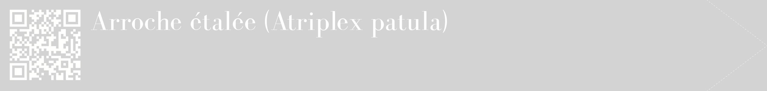 étiquette 2