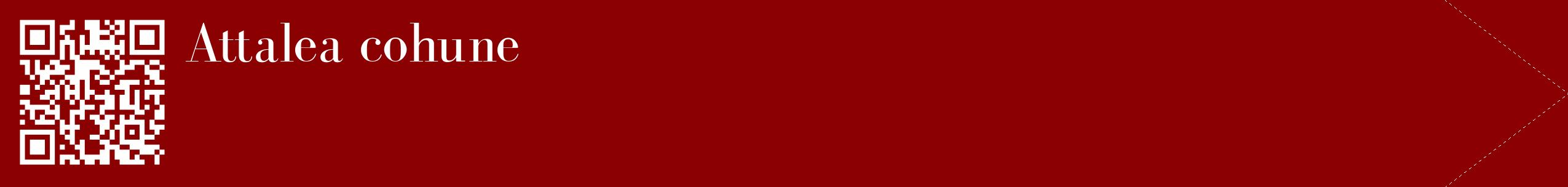 étiquette 2