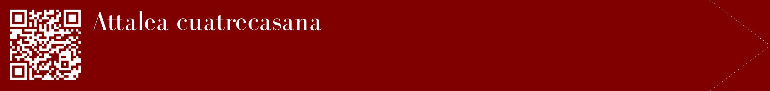 étiquette 2