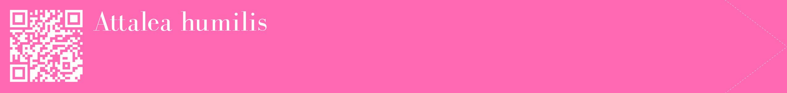étiquette 2