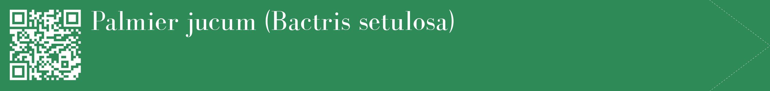 étiquette 2
