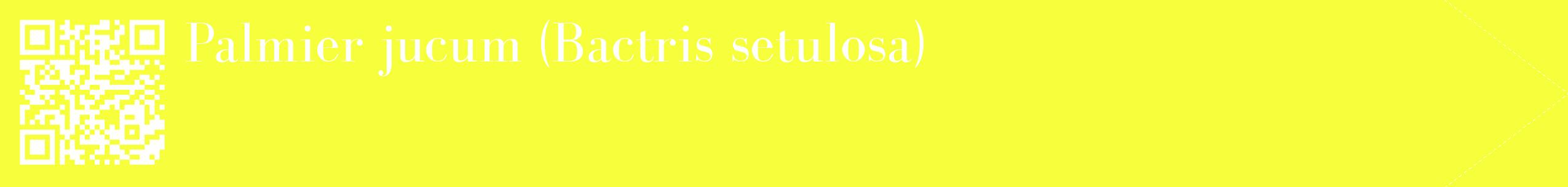 étiquette 2
