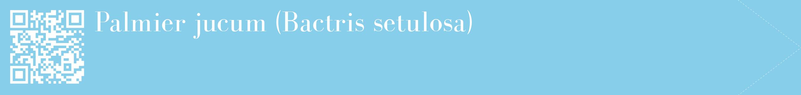 étiquette 2