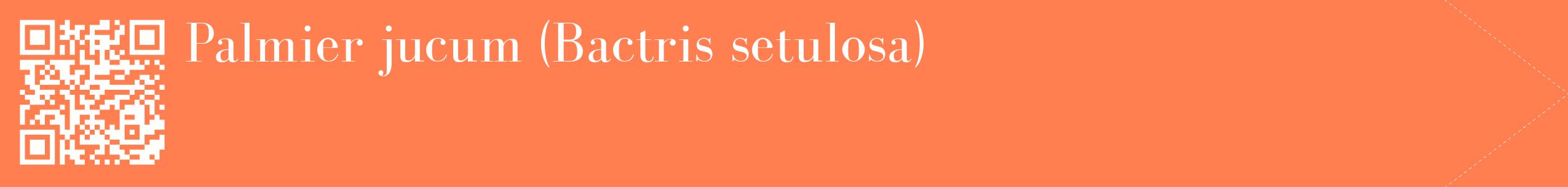 étiquette 2