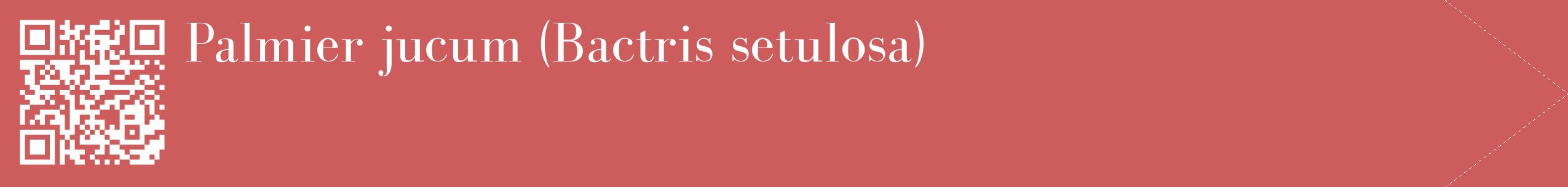 étiquette 2
