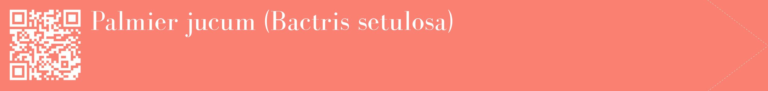 étiquette 2
